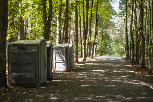 Best Luxury portable toilet rental  in Freeland, MI